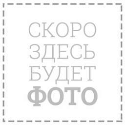 Мост заднего маятника NINJA 73 (до 2014г.) голый