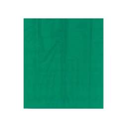 Бумага Цветная 10 Листов “Тишью” 50*70См Зелёная (Devente) 8116915