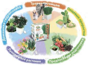 Аэросад проращиватель семян, зёрен и выращиватель микрозелени Здоровья Клад 4в1