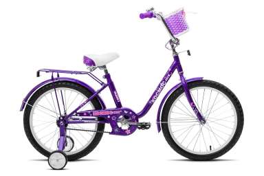 Детский велосипед Космос - НСК 20 (А2001) Цвет:
Фиолетовый