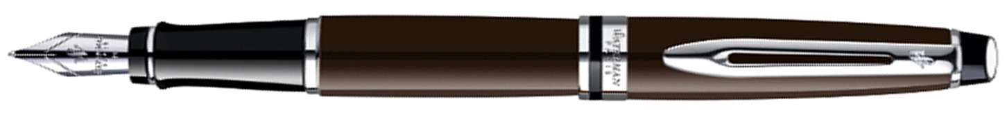 Перьевая ручка Waterman Expert Deep Brown CT. Перо - нерж. сталь, дет. дизайна: палладиевое покрытие