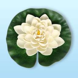 Растение водоплавающее “Кувшинка Розитта” d-20см белая
