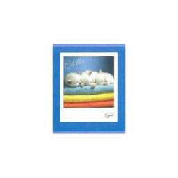 Тетрадь 48 Л. Кл. “Ласковые Котята” (“Эксмо”) Б/Б Асс-Т ТК486583