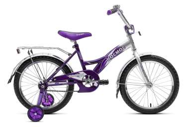 Детский велосипед Космос - 18 (В1807) Цвет:
Фиолетовый