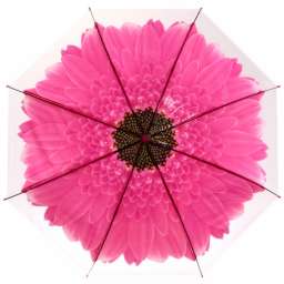 Зонт-трость женский “Гербера” цвет микс, 8 спиц, d-92см, длина в слож. виде 71см