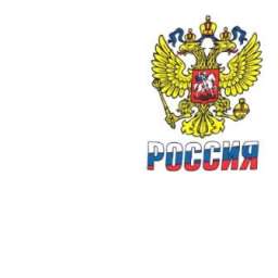 Футболка “Россия” с малым гербом