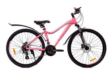 Горный велосипед (женский) Stels - Miss 6100 D 26”
V010 (2019) Р-р = 15; Цвет: Светло-Красный