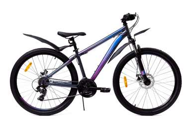 Горный велосипед (26 дюймов) Forward - Flash 26 2.0
disс (2019) Р-р = 15; Цвет: Серый (Матовый)