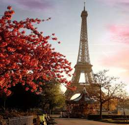 Фотошторы “Париж. Красные листья на фоне Эйфелевой башни” готовые, для гостиной