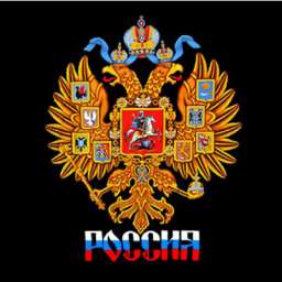 Футболка “РОССИЯ” с золотым гербом двухсторонняя.