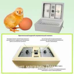 Электрический инкубатор 45 яиц для цыплят гусят Золушка 220 В ручной переворот