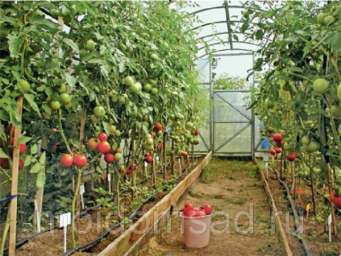Капельная эмиттерная лента полива растений КЛ длина 50 метров шаг 30 см для огорода