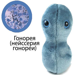 Giant Microbes Плюшевая “Гонорея”
