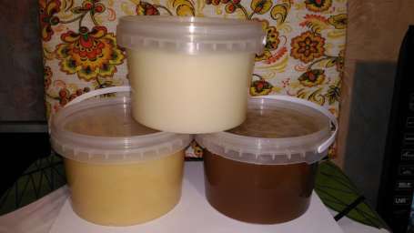 Мёд Пчелиный натуральный 1 кг. из заповедника в Курганской области