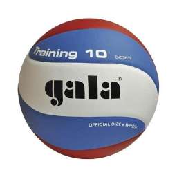Мяч волейбольный Gala Training 10 арт. BV5561S р. 5