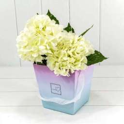 Коробка для цветов Ваза с ручками “Flowers” Градиент Розовый/Голубой 720118⁄8