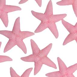 Шармик для слайма Морская звезда розовая, 4 см