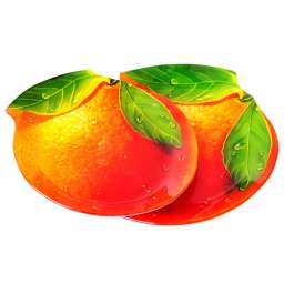 Набор из 2 блюд 10130L/2-ST “Апельсин”