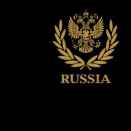 Футболка “RUSSIA” с бронзовыми гербом и венком