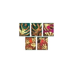 Тетрадь 48 Л. Кл. “Золотые Листья” (“Эксмо”) Б/Б, Мокрый Шёлк,Асс-Т ТК486773