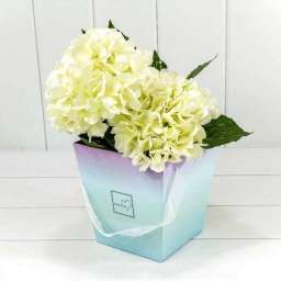 Коробка для цветов Ваза с ручками “Flowers” Градиент Розовый/Бирюзовый 720118⁄9