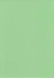 Панели стеновые ГКЛ “Мультиплит” 2500⁄3000*1200*12.5 мм Зеленый RAL 6019