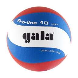 Мяч волейбольный Gala Pro-Line 10 арт. BV5581S р. 5