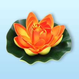Растение водоплавающее “Кувшинка Розитта” d-13см оранжевая
