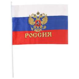 Флаг “Россия” 60*90 см триколор, с гербом, на флагштоке