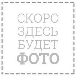 Прокладка крышки генератора декоративная SCORPION 250В (с 2014г.)