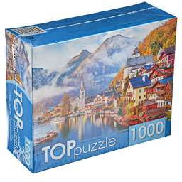 РЫЖИЙ КОТ Пазлы TOPpuzzle, 1000 деталей, картон, 19х15x6,7см, 10 дизайнов