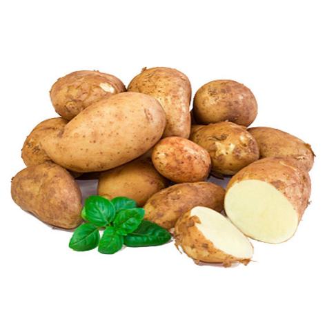 Универсальный сорт картофеля Гала