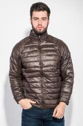 Куртка мужская демисезон 191V005 (Ореховый)